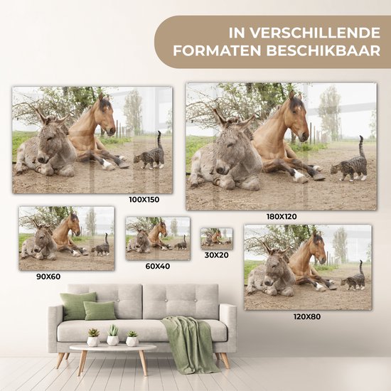 Peinture sur Verre - Âne Chat et Cheval sur Chemin de Terre - 180x120 cm - Peintures sur Verre Peintures - Photo sur Glas