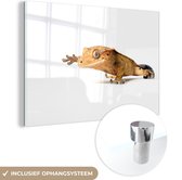 MuchoWow® Peinture sur Verre - Gecko Marchant - 60x40 cm - Peintures sur Verre Acrylique - Photo sur Glas