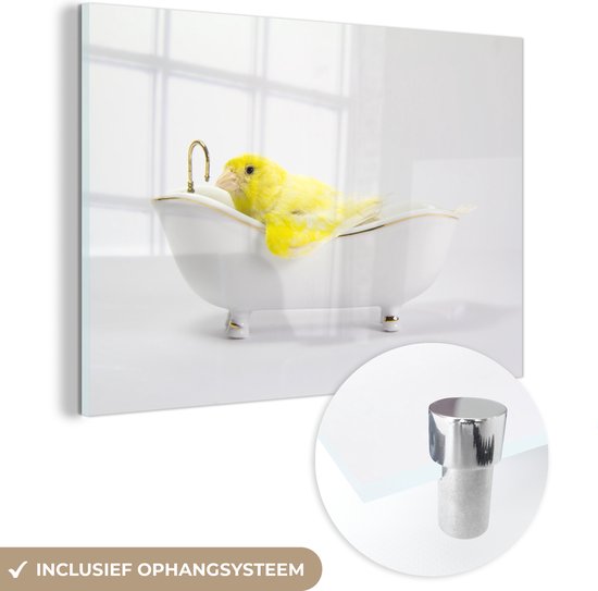 MuchoWow® Glasschilderij 180x120 cm - Schilderij acrylglas - Gele kanarie op witte achtergrond in badkuip - Foto op glas - Schilderijen