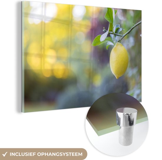 MuchoWow® Glasschilderij 120x80 cm - Schilderij acrylglas - citroen hangend aan een tak - Foto op glas - Schilderijen