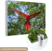 MuchoWow® Glasschilderij 30x20 cm - Schilderij acrylglas - Vliegende ara fotoprint - Foto op glas - Schilderijen