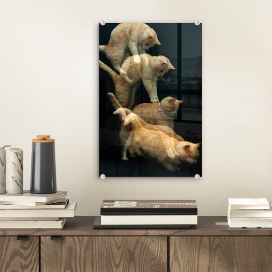 Peinture sur Verre - Chat Bondissant - 20x30 cm - Peintures sur Verre Peintures - Photo sur Glas