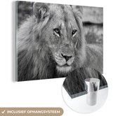 MuchoWow® Glasschilderij 180x120 cm - Schilderij acrylglas - Leeuw - Zwart - Jacht - Foto op glas - Schilderijen