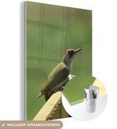 Peinture sur Verre - Pic Vert sur une Clôture - 30x40 cm - Peintures sur Verre Peintures - Photo sur Glas