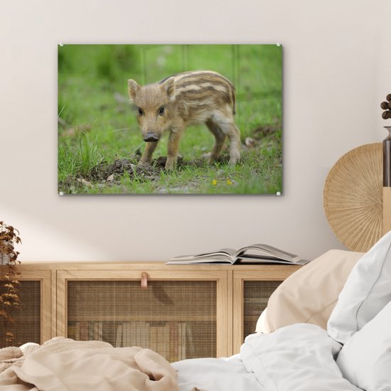 MuchoWow® Peinture sur verre - Sanglier dans l'herbe - 60x40 cm - Peintures sur verre acrylique - Photo sur Glas