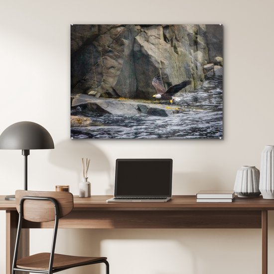 MuchoWow® Peinture sur verre 80x60 cm - Peinture sur verre acrylique - Pygargue à queue blanche près des rochers du Cap Breton - Photo sur verre - Peintures