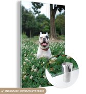MuchoWow® Glasschilderij 80x120 cm - Schilderij acrylglas - Hond - Bulldog - Bloemen - Foto op glas - Schilderijen