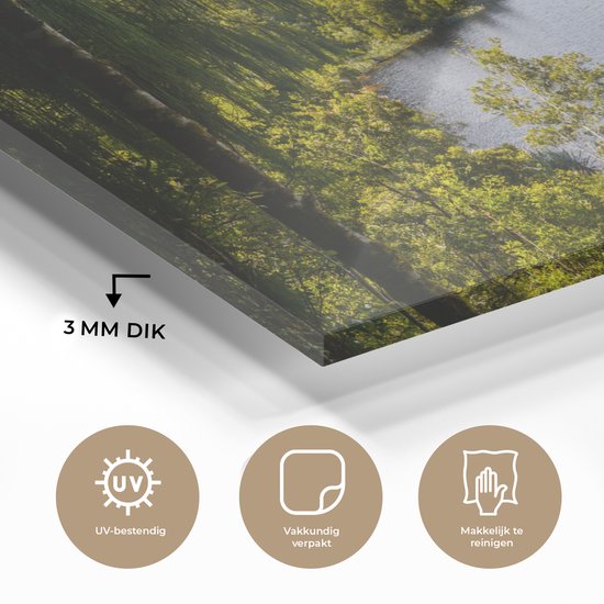 Forêt surplombant le glacier Franz Josef et Fox en Nouvelle-Zélande Plexiglas 30x20 cm - petit - Tirage photo sur verre (décoration murale en plexiglas)