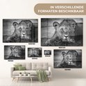 Product afbeelding  9