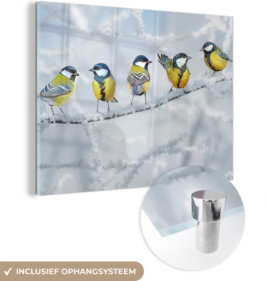 Glasschilderij - Foto op glas - Vogel - Koolmees - Winter - Sneeuw - Takken - 80x60 cm - Acrylglas - Glasschilderij vogels - Wanddecoratie - Glasschilderij dieren - Decoratie woonkamer