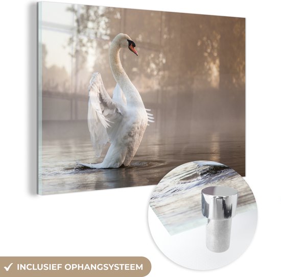 Swan in misty lake Glas 60x40 cm - Tirage photo sur Glas (décoration murale plexiglas)