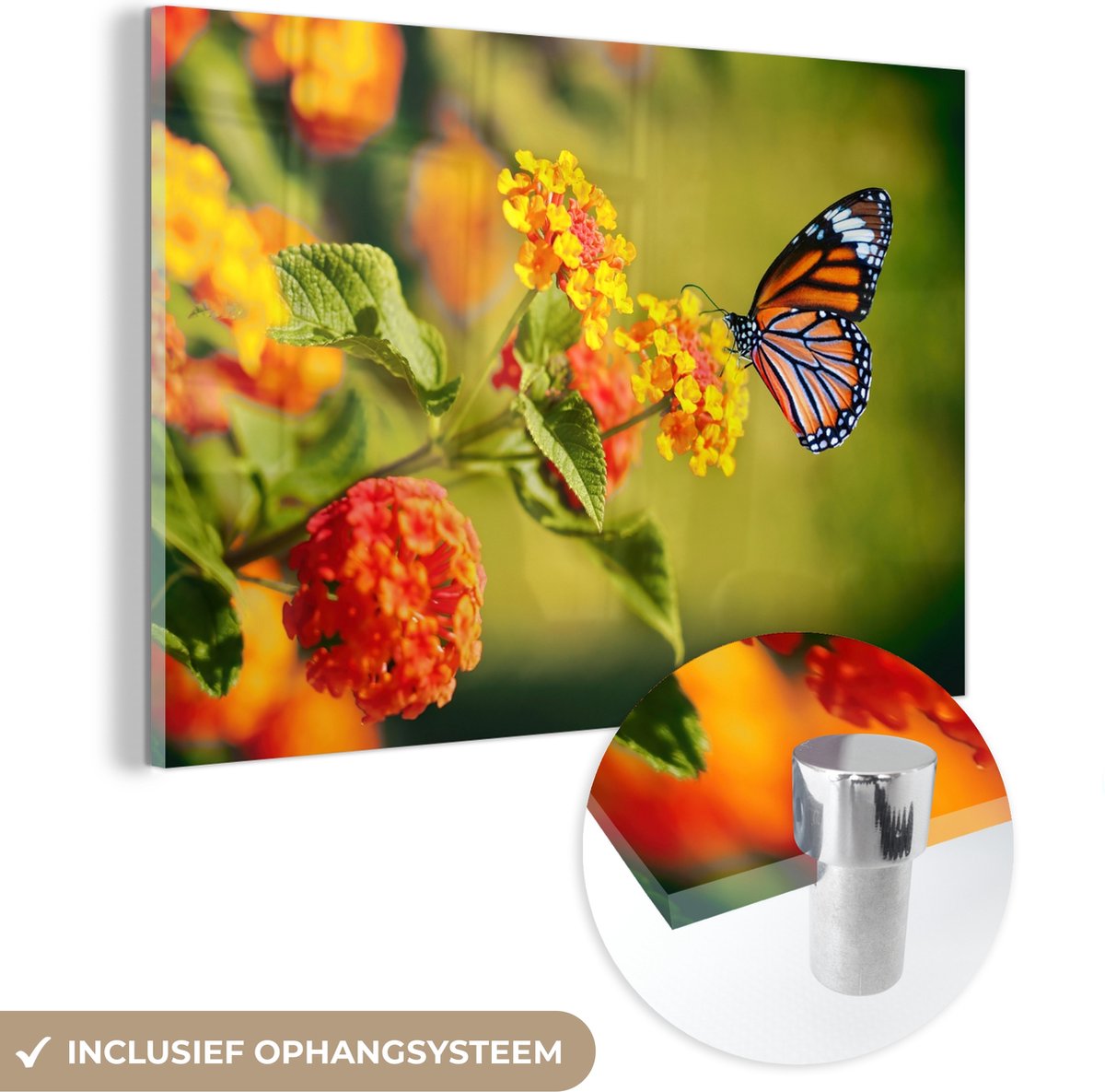 MuchoWow - Glasschilderij - Foto op glas - Vlinders - Bloemen - Natuur - Oranje - Acrylverf - 90x60 cm - Glasschilderij natuur - Glasschilderij vlinder - Decoratie woonkamer - Schilderij glas