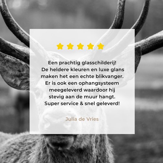 Tableau sur verre - Photo sur verre - Animaux - Cerf - Bois - Forêt - Nature - 120x60 cm - Verre acrylique - Décoration murale verre - Tableau sur verre cerf - Tableau sur verre animaux - Décoration d'intérieur