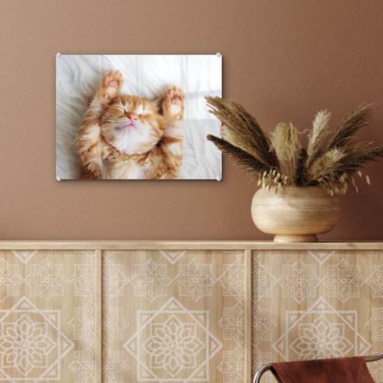 Peinture sur verre - Photo sur verre - Verre acrylique - Chat - Couverture - Chat - Chaton - Animaux - Peintures salon - 40x30 cm - Peinture sur verre - Décoration murale - Décoration murale