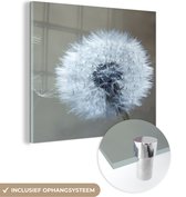 MuchoWow® Peinture sur Verre - Pissenlit - Bloem - Plante - 90x90 cm - Peintures sur Verre Peintures - Photo sur Glas