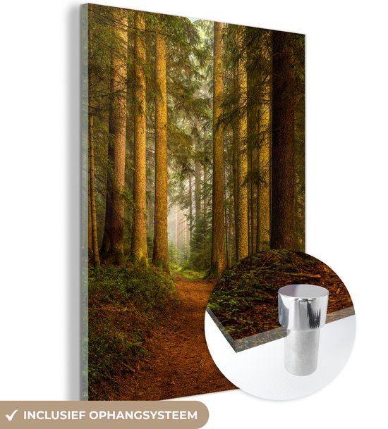Glazen schilderij met bosweg en bomen, inclusief ophangsysteem.