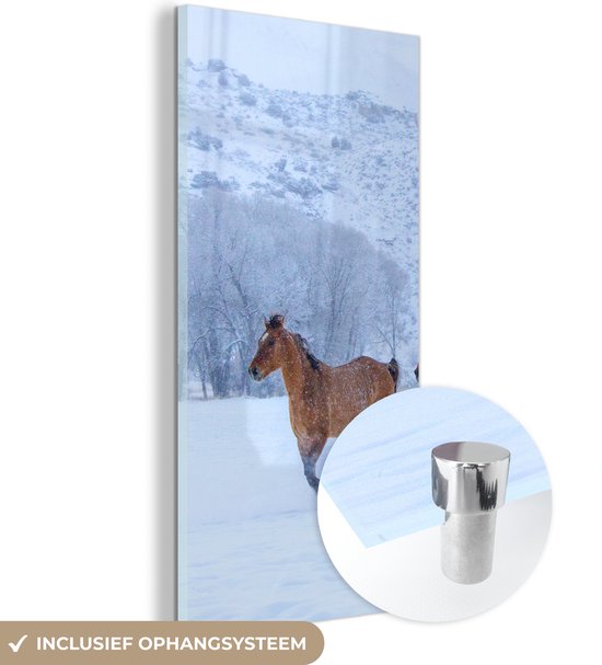 MuchoWow® Glasschilderij 20x40 cm - Schilderij acrylglas - Paarden - Sneeuw - Winter - Foto op glas - Schilderijen
