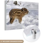 MuchoWow® Glasschilderij 60x40 cm - Schilderij acrylglas - Everzwijn - Dier - Sneeuw - Foto op glas - Schilderijen