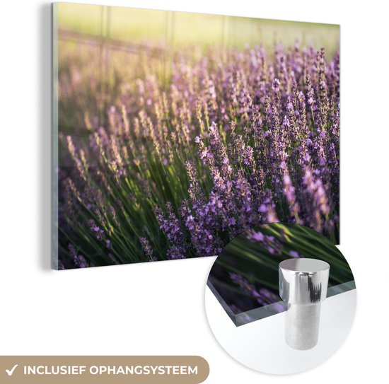 MuchoWow® Glasschilderij 30x20 cm - Schilderij acrylglas - Lavendel in een veld - Foto op glas - Schilderijen