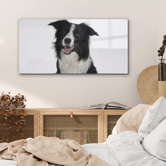 MuchoWow® Tableau sur Verre - Photo Portrait d'un Bon Border Collie Assis - 80x40 cm - Peintures sur Verre Acrylique - Photo sur Glas