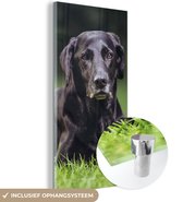 MuchoWow® Glasschilderij 80x160 cm - Schilderij acrylglas - Een zwarte labrador in het gras - Foto op glas - Schilderijen