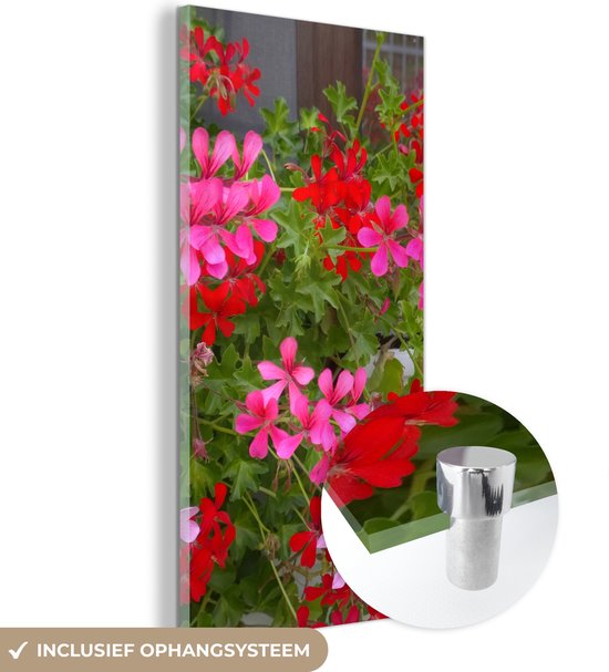 MuchoWow® Peinture sur verre 60x120 cm - Peinture sur verre acrylique - Fleurs de géranium dans le jardin - Photo sur verre - Peintures