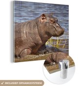 MuchoWow® Glasschilderij 50x50 cm - Schilderij acrylglas - Nijlpaard - Water - Kalf - Foto op glas - Schilderijen