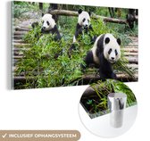 MuchoWow® Glasschilderij 120x60 cm - Schilderij acrylglas - Panda's - Bamboe - Bladeren - Foto op glas - Schilderijen