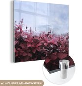 MuchoWow® Glasschilderij 20x20 cm - Schilderij acrylglas - Bloemen in de mist - Foto op glas - Schilderijen