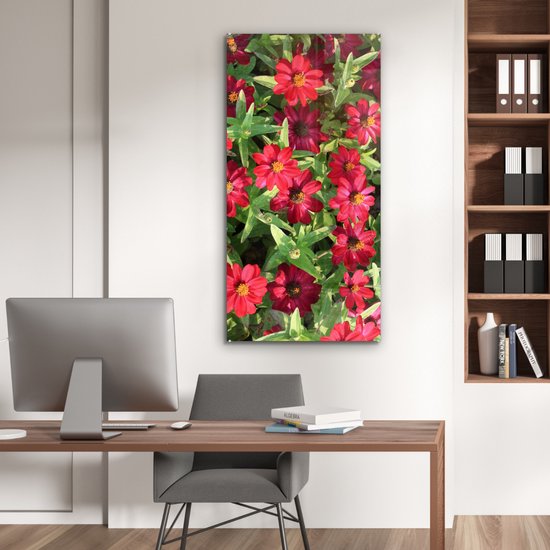 MuchoWow® Glasschilderij 60x120 cm - Schilderij acrylglas - Rode zinnia bloemen tijdens een zonnige dag - Foto op glas - Schilderijen