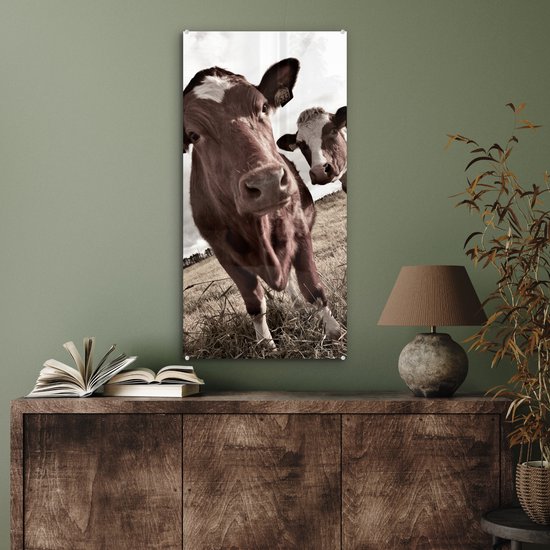 MuchoWow® Peinture sur verre 40x80 cm - Peinture sur verre acrylique - Tirage photo vaches sur un champ sépia - Photo sur verre - Peintures