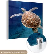 MuchoWow® Glasschilderij 50x50 cm - Schilderij acrylglas - Zeeschildpad fotoprint - Foto op glas - Schilderijen