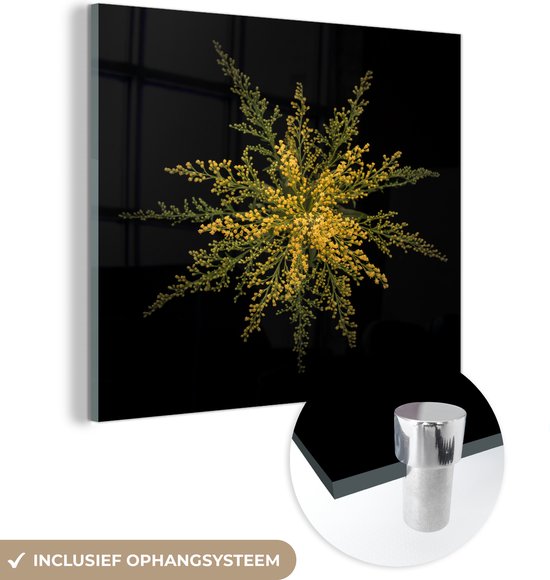 MuchoWow® Glasschilderij 20x20 cm - Schilderij acrylglas - Een goud-staafbloem op de zwarte achtergrond - Foto op glas - Schilderijen