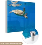 MuchoWow® Glasschilderij 20x20 cm - Schilderij acrylglas - Schildpad zwemmend in oceaan - Foto op glas - Schilderijen