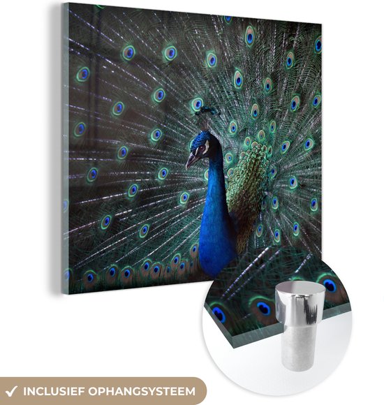 MuchoWow® Glasschilderij 90x90 cm - Schilderij acrylglas - Pauw - Veren - Kleuren - Foto op glas - Schilderijen