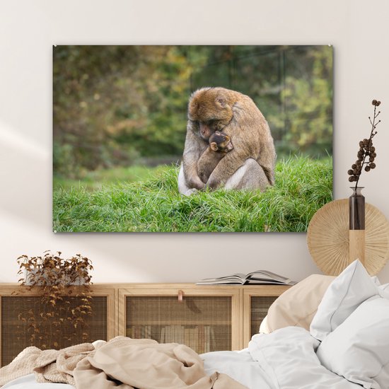 MuchoWow® Peinture sur verre 120x80 cm - Peinture sur verre acrylique - Singe - Jeune - Herbe - Photo sur verre - Peintures