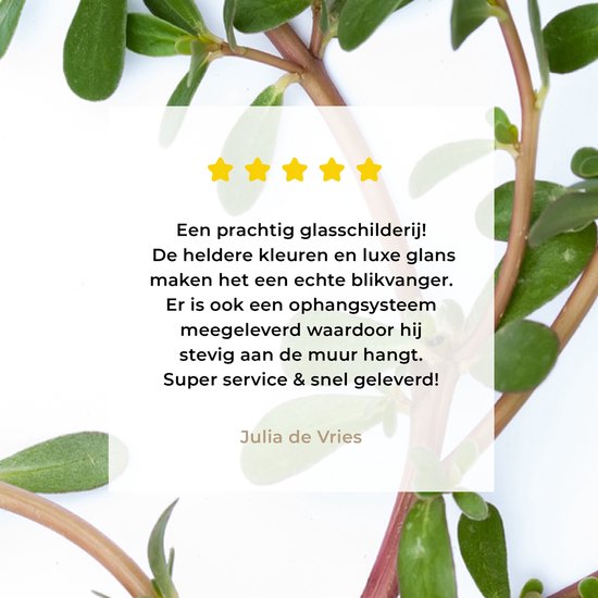 Pourpier sur fond blanc Plexiglas 40x60 cm - Tirage photo sur Glas (décoration murale en plexiglas)