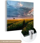 MuchoWow® Glasschilderij 20x20 cm - Schilderij acrylglas - Bloemen - Geel - Zonsondergang - Foto op glas - Schilderijen