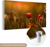MuchoWow® Glasschilderij 80x40 cm - Schilderij acrylglas - Klaproos - Zonsondergang - Goud - Foto op glas - Schilderijen