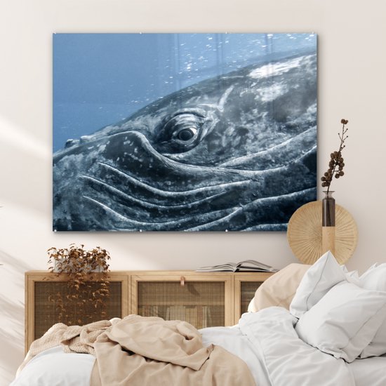 MuchoWow® Peinture sur verre 120x90 cm - Peinture sur verre acrylique - Water - Animaux - Baleine à bosse - Photo sur verre - Peintures