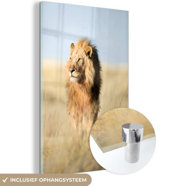 MuchoWow® Glasschilderij - Close-up lopende leeuw - Acrylglas Schilderijen - Foto op Glas