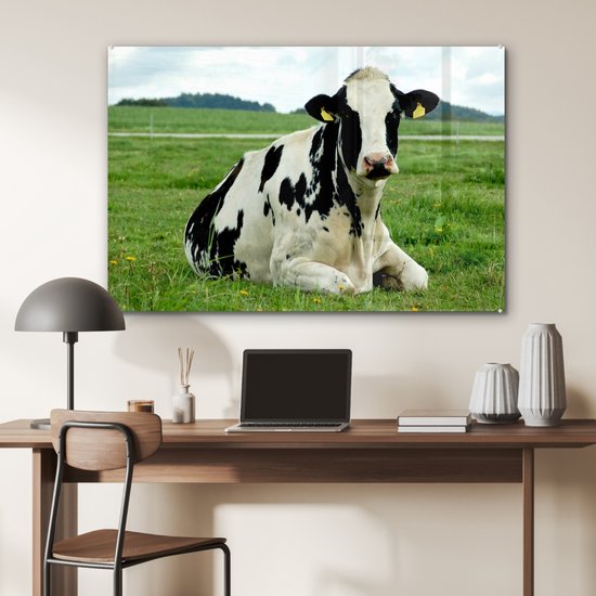 Vache frisonne au repos sur un pâturage vert Plexiglas 120x80 cm - Tirage photo sur Glas (décoration murale en plexiglas)