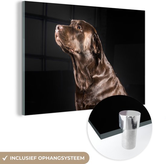 MuchoWow® Glasschilderij 60x40 cm - Schilderij acrylglas - Hond - Bruin - Portret - Foto op glas - Schilderijen