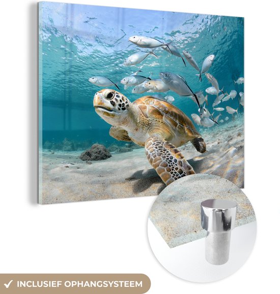 MuchoWow® Glasschilderij 160x120 cm - Schilderij acrylglas - Schildpad - Vis - Zee - Foto op glas - Muurdecoratie woonkamer - Wanddecoratie slaapkamer - Schilderijen