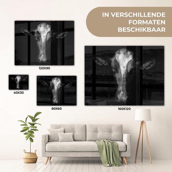 MuchoWow® Peinture sur Verre - Vache - Animaux - Zwart - 120x90 cm - Peintures sur Verre Peintures - Photo sur Glas