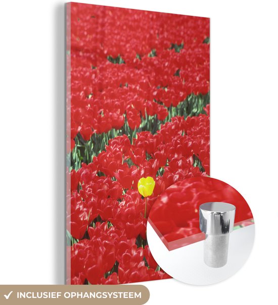 MuchoWow® Glasschilderij 120x180 cm - Schilderij acrylglas - Een veld met rode tulpen in Nederland - Foto op glas - Schilderijen