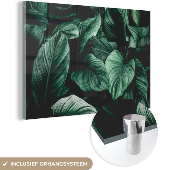MuchoWow® Glasschilderij 60x40 cm - Schilderij acrylglas - Jungle - Bladeren - Tropisch - Planten - Natuur - Foto op glas - Schilderijen