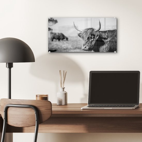 Zwart-wit glasafbeelding van een Schotse Hooglander met lange hoorns, op een bureau.