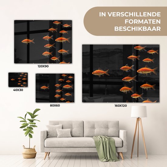 MuchoWow® Peinture sur verre 40x30 cm - Peinture sur verre acrylique - Poisson rouge - Animaux - Zwart - Photo sur verre - Peintures