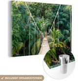 MuchoWow® Peinture sur verre 60x40 cm - Peinture sur verre acrylique - Jungle - Palmier - Pont - Nature - Plantes - Photo sur verre - Peintures